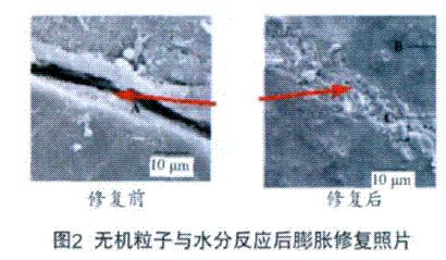 圖2 無機(jī)粒子與水分反應(yīng)后膨脹修復(fù)照片