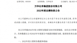 增收不增利！3000億化工龍頭業(yè)績(jī)下降超30%！